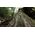 Canon RF 14-35mm f/4L IS USM — 1532€ Photo Emporiki