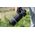 Canon RF 600mm f/11 IS STM Φακός — 758€ Photo Emporiki
