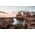 Nikon Z DX 18-140mm f/3.5-6.3 VR Lens — 612€ Photo Emporiki